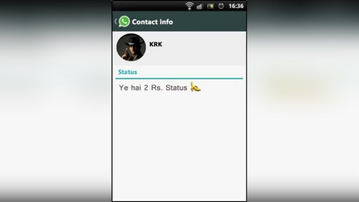 जानिए क्या-क्या स्टेटस रखते हैं इंडियन सेलिब्रिटीज अपने WhatsApp का?