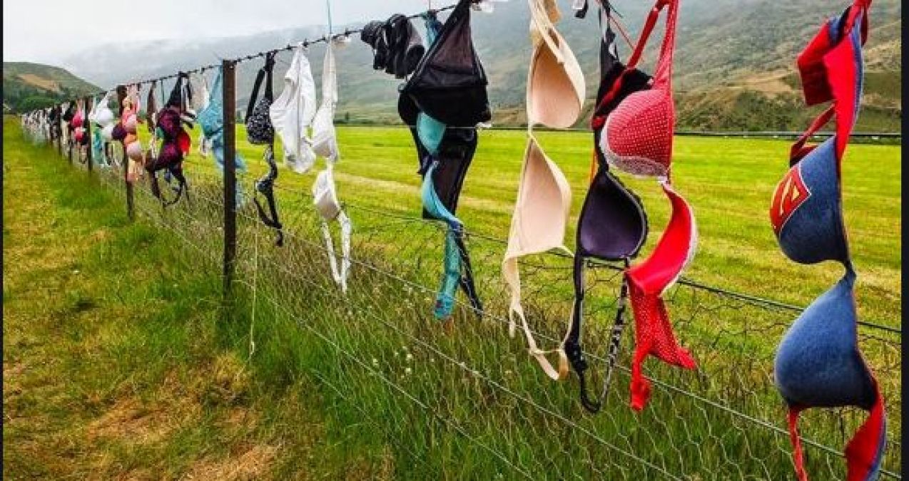 Women come here and hang their bras, reason is very interesting