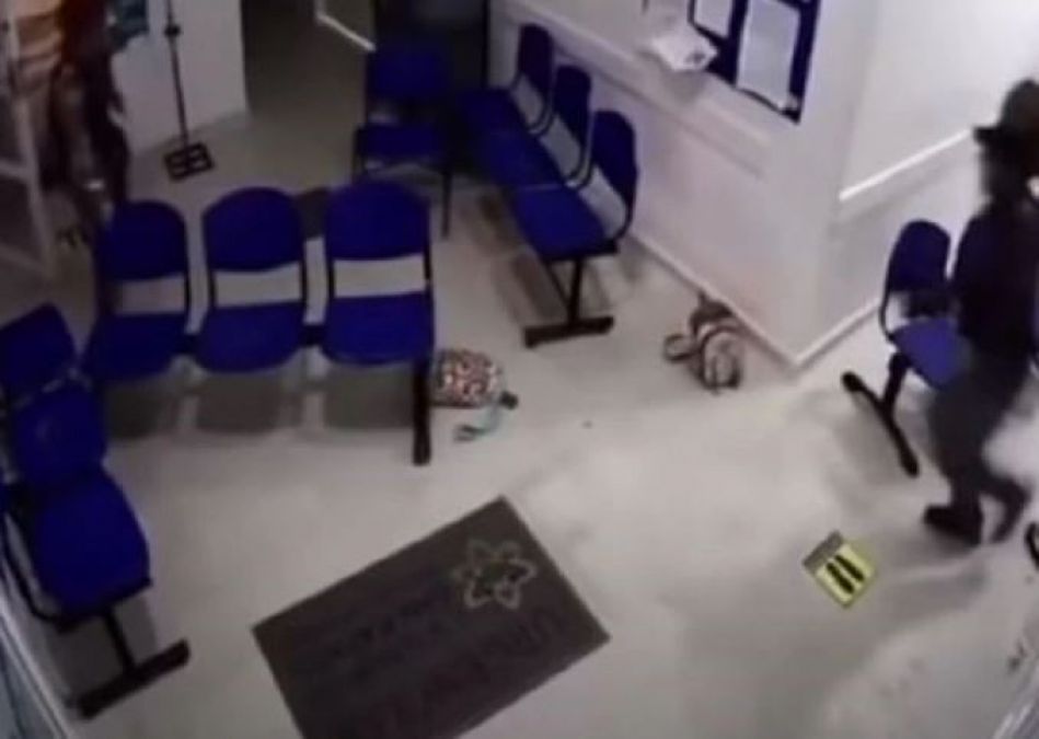 Cow runs into Colombian hospital waiting room, watch video