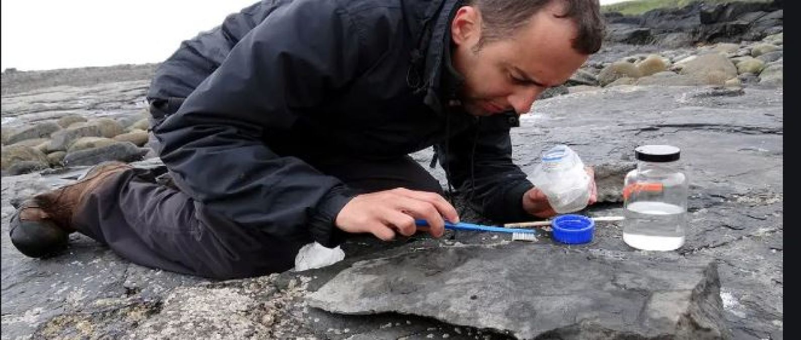 160 million-year-old flying lizard found inside rock here!