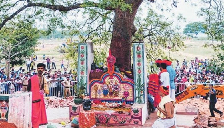 भगवान जगन्नाथ का रूप माना जा रहा ये पेड़, दिखे शंख-चक्र के निशान