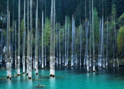 World's most bizarre lake, forest hidden inside