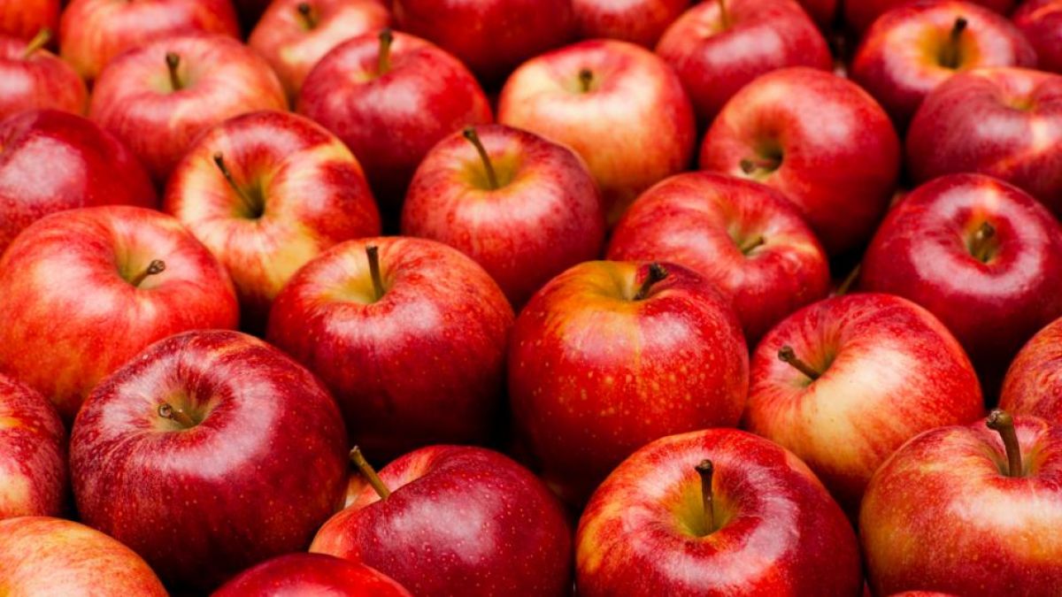 Red-colored apples will disappear due to this reason, Know here