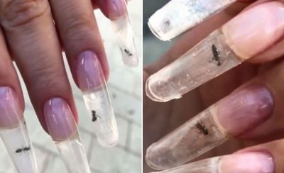 Video : नाखूनों को सुंदर बनाने के लिए इन्होने किया ज़िंदा चीटियों का इस्तेमाल