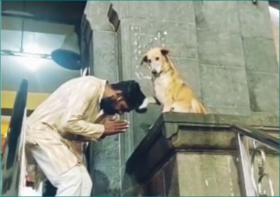 Dog sitting outside temple give blessings to devotees, video goes viral