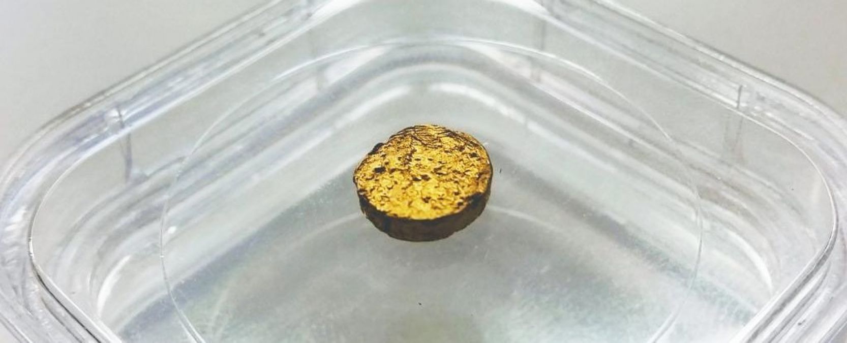स्विस वैज्ञानिकों ने हासिल की बड़ी उपलब्धि, प्लास्टिक से बनाया सोना