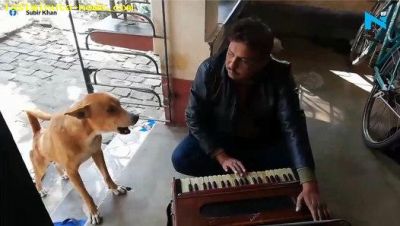 सोशल मीडिया पर वायरल हुआ ये कुत्ता, जब हारमोनियम पर गाया रानू मंडल का गाना