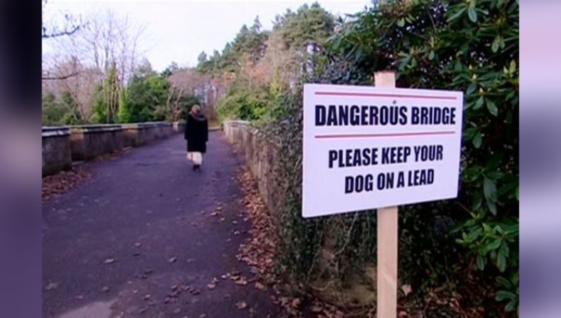 ऐसा रहस्यमयी पुल जहाँ आकर सभी कुत्ते कर लेते है आत्महत्या