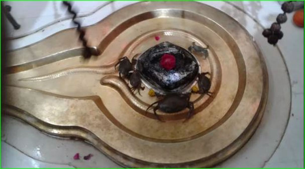 In this temple, crab is offered to God