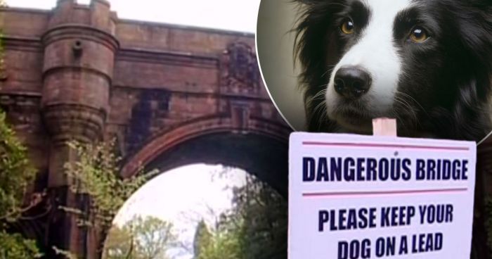 Video : ये है हॉन्टेड ब्रिज, जहाँ से अब तक 600 कुत्ते दे चुके हैं अपनी जान