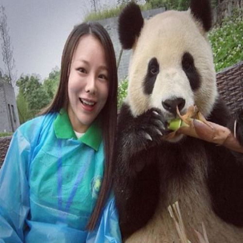 ये है चीन का अनोखा पांडा, जिसे हैं सेल्फीज़ लेने का शौक