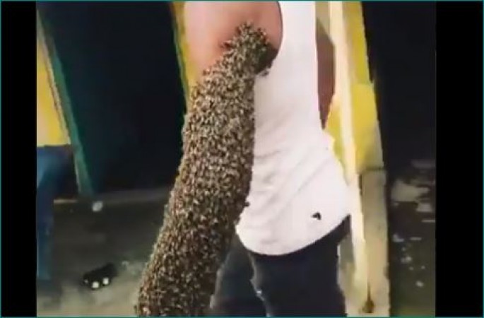 हाथ पर मधुमक्खियों का छत्ता लेकर निकला युवक, वीडियो वायरल