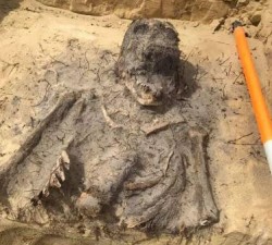 More than 100 skeletons found in excavation