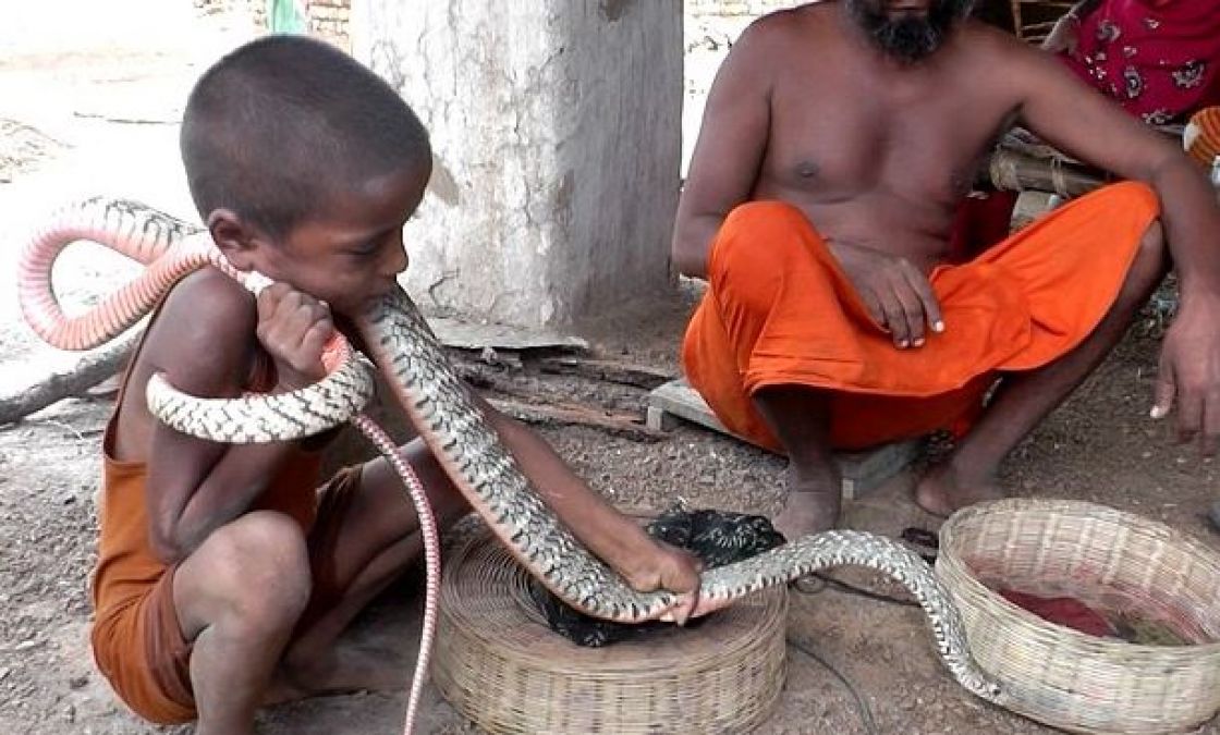 Here Kids play with The Poisonous Snake like a Toy; tragic Death Game