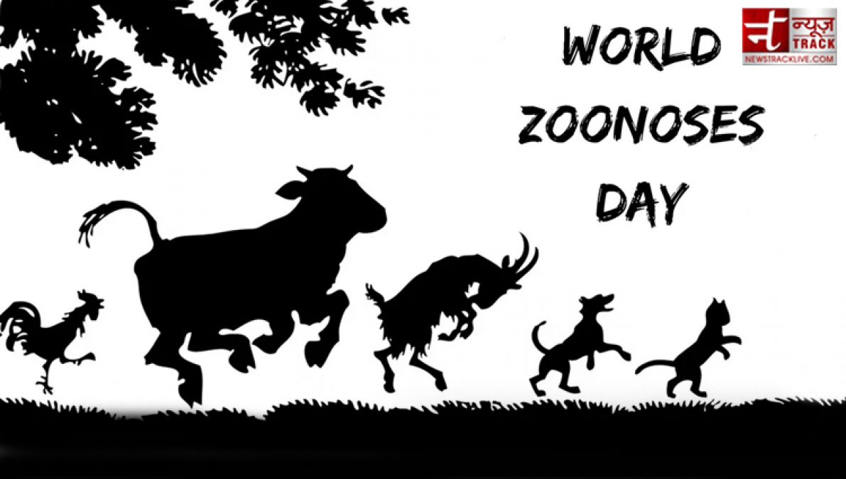 World Zoonoses Day: Love Your Pets till  Live  but Keep These Things In Mind