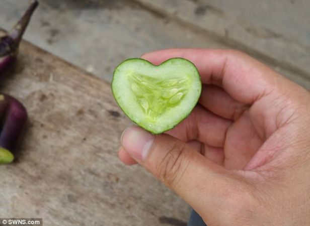 सेब से लेकर तरबूज तक इन फलों का शेप है कुछ ऐसा, नहीं देखा होगा कभी