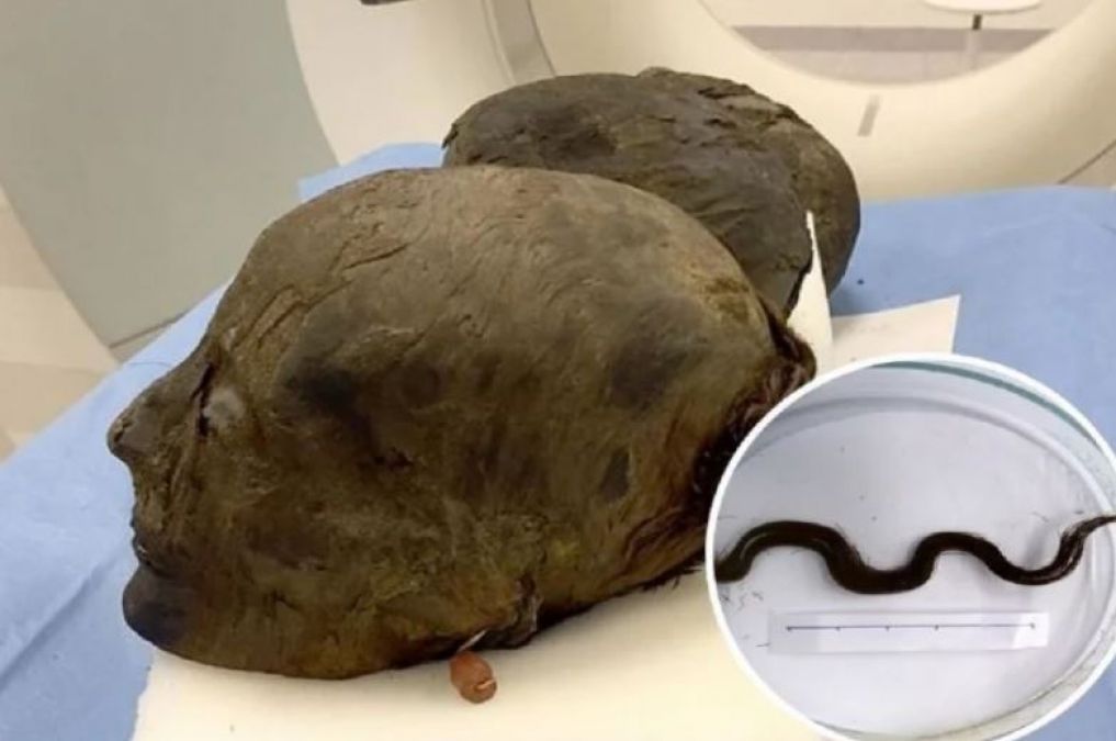 On 3000-Year-Old Mummy, Scientists did Research, Shocking Secrets Revealed