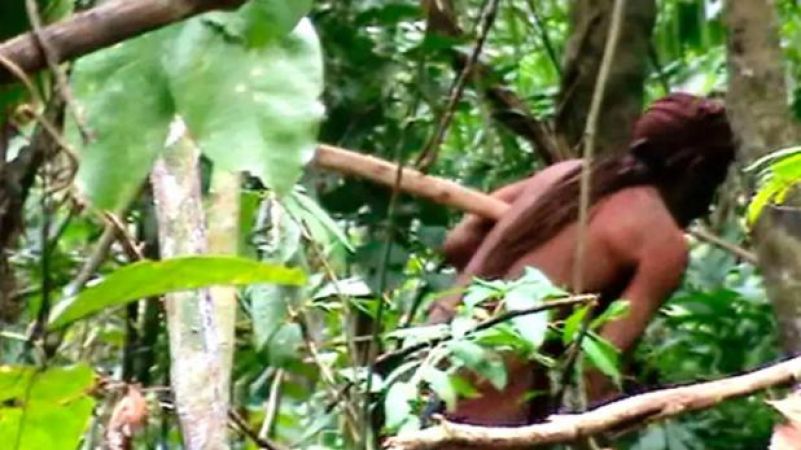 22 साल से खतरनाक जंगल में जी रहा अकेला शख्स देखें वीडियो