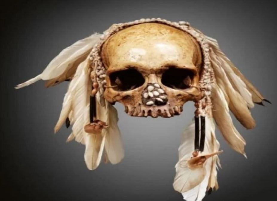 Here are human skulls sold online, Know other special facts