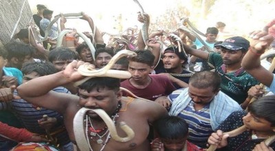Amazing! In this fair, people hold the snake with their teeth and wrap it on the neck