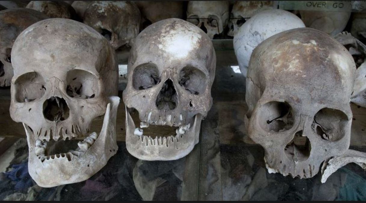 Human Skulls Being Sold Online, Know What's The Case