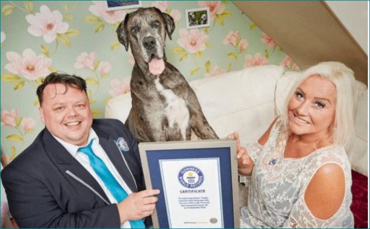 These 5 dogs have got their names registered in Guinness World Records