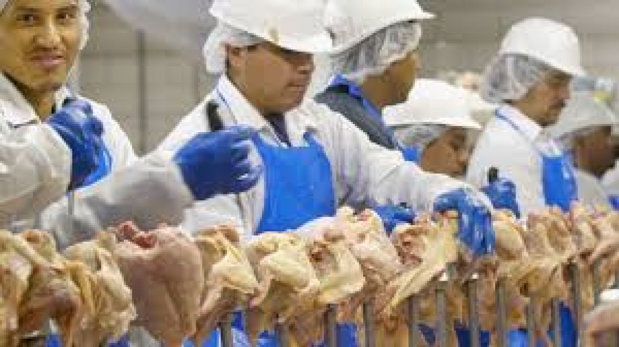Chicken Industry Workers Wear Diapers Because Bosses Allow No Breaks
