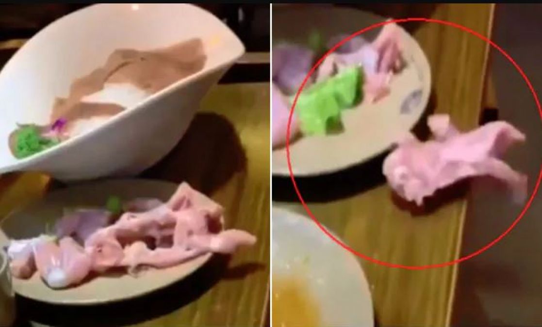 Video A Piece Of Meat Was Walking On The Plate The Girl Screamed Loudly Newstrack English 1