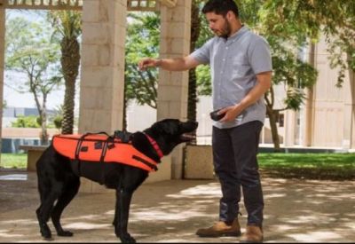टीवी-पंखा ही नहीं अब रिमोट से कुत्ता भी होगा कंट्रोल, वैज्ञानिकों ने बनाई खास जैकेट