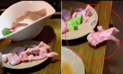 VIDEO: A piece of meat was walking on the plate, the girl screamed loudly!