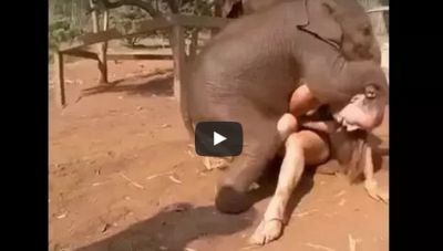 हाथी के बच्चे ने की महिला के साथ ऐसी हरकत, देखिए वीडियो