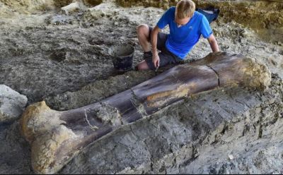 Gigantic 500 kg dinosaur bone found in France
