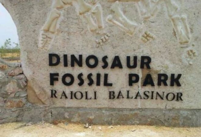 The museum will tell everything related to the dinosaur, the big event happened here 36 years ago