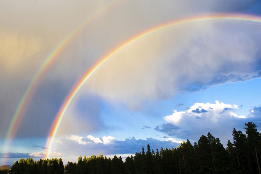 Rainbow is seen in sky after rain due to this reason