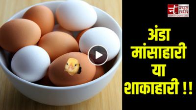 अंडा शाकाहारी है या मांसाहारी? वैज्ञानिको ने कर दिया साबित