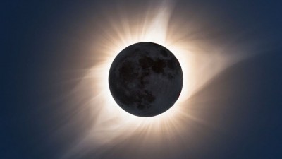 Animals behave strangely as soon as the eclipse starts
