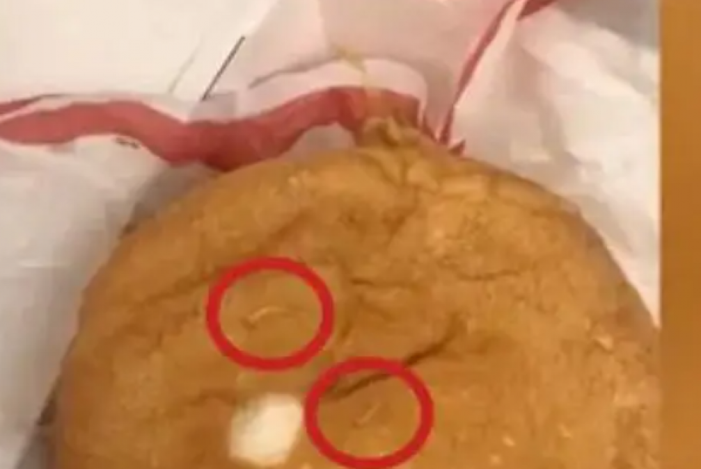 Live worms found in burger ordered from McDonald's, woman shares video
