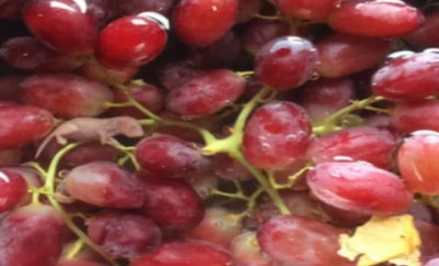 Woman finds mouse fetus in grapes packet she bought from supermarket
