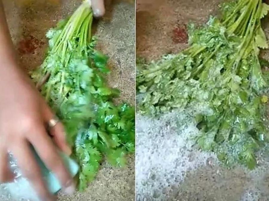 Coriander washed with soap just like clothes, watch video here