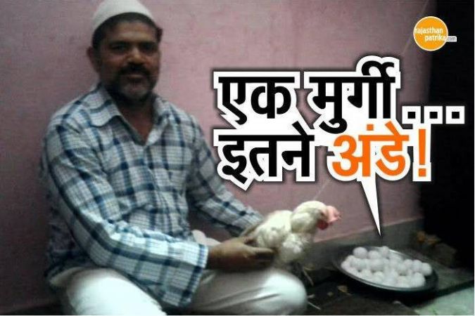 जयपुर की ये अनोखी मुर्गी जिसने एक दिन में दिए 36 अंडे, देखने वाले भी रह गए हैरान