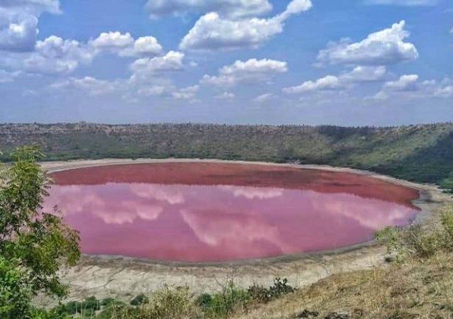 महाराष्ट्र की लोनार झील के पानी का रंग बदलकर हुआ गुलाबी, वजह है चौका देने वाली
