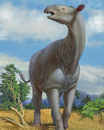 डायनासोर के युग के है ये विशालकाय जानवर, जिसके बारे में वैज्ञानिक भी नहीं जानते पूरा सच
