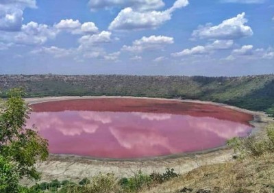 महाराष्ट्र की लोनार झील के पानी का रंग बदलकर हुआ गुलाबी, वजह है चौका देने वाली