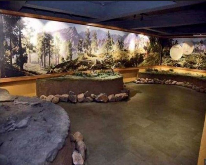 The first dinosaur museum open in the country, this will be the specialty