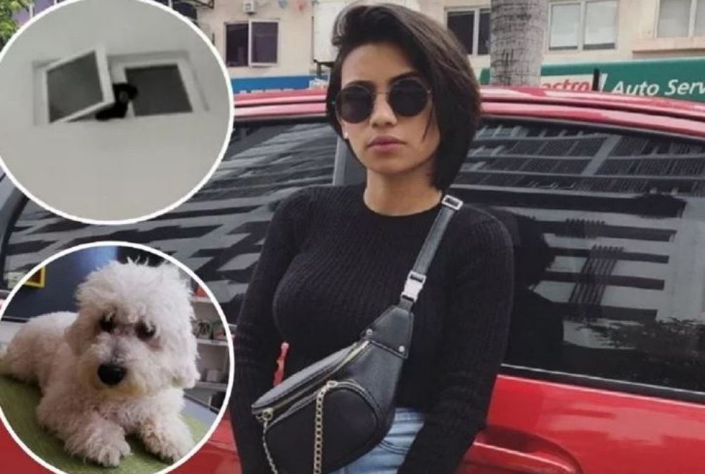 A Woman Took Home This Animal by misinterpreting dog then this Incident Happened