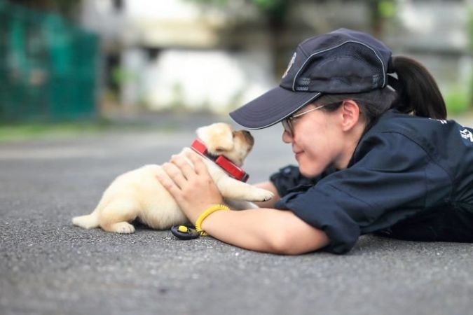 शुरू कर दी गई है इन Puppies की ट्रेनिंग, जल्द ही ताइवान की पुलिस में किया जाएगा एडमिट