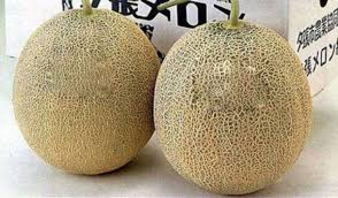 World's most expensive fruit, price will blow your senses