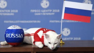 FIFA World Cup: कौन होगा इस बार चैंपियन, बताएगी यह बिल्ली