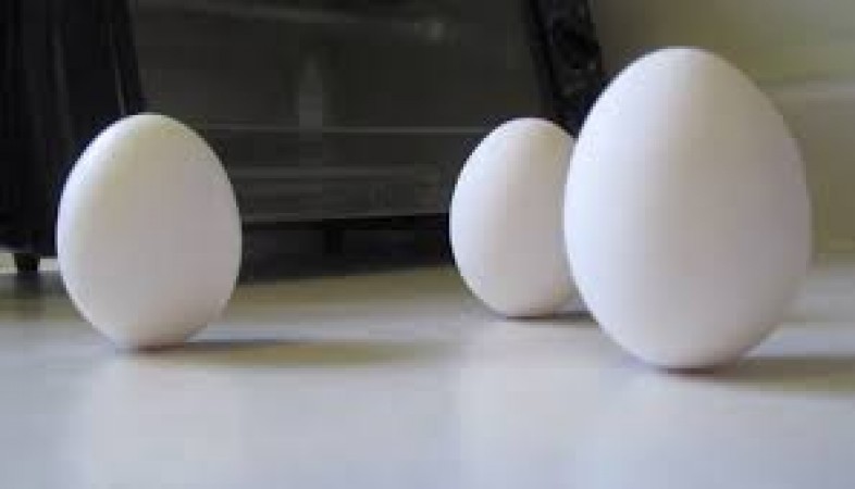 Largest stack of eggs, Do you have what it takes to break the record?