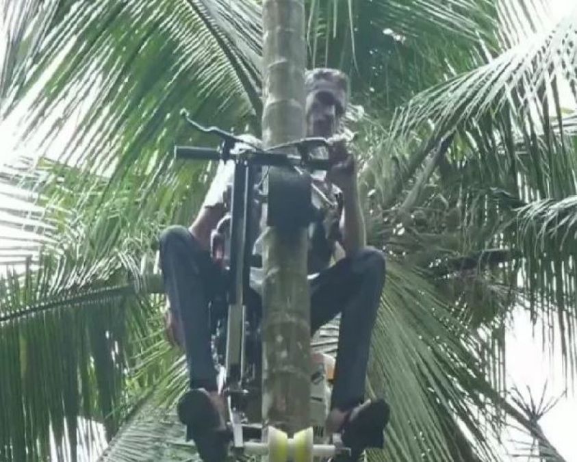 No matter hows the tree, this machine helps to climb in a moment, the farmer did wonders